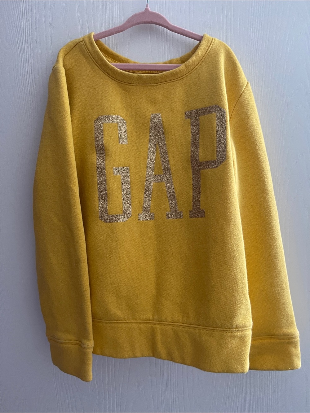 GAP Sweatshirt